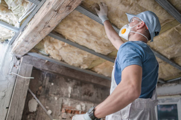 Best Insulation Replacement Services  in Tahoka, TX